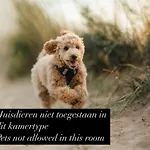 Eilandhotel Texel Szálloda De Cocksdorp