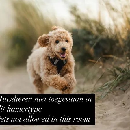 Eilandhotel Texel Szálloda De Cocksdorp