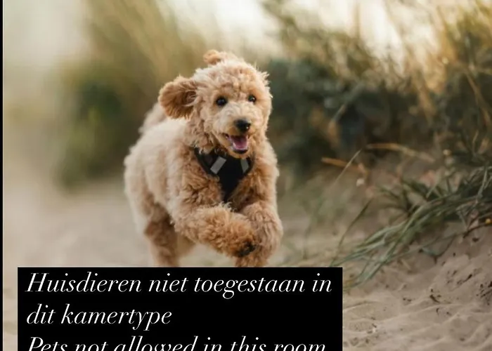 Eilandhotel Texel Otel De Cocksdorp (Texel)