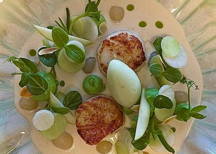 Eilandhotel Texel De Cocksdorp (Texel)